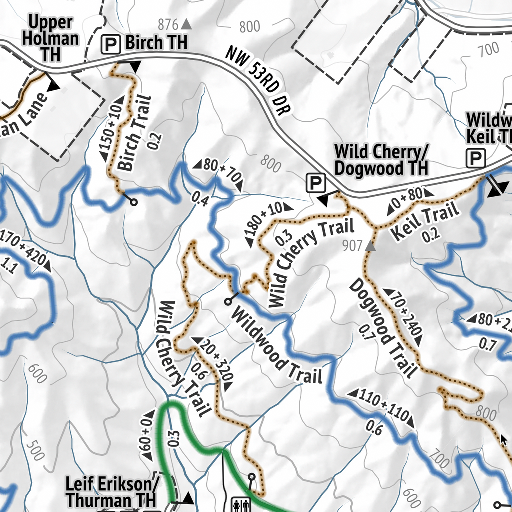 Forest Park Trail Map wall print — Portland, Oregon topographic hiking map