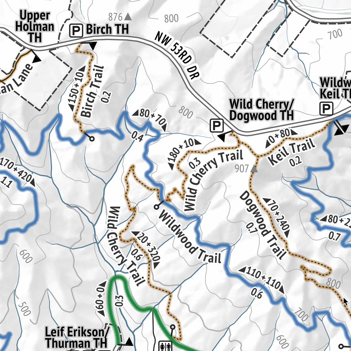 Forest Park Trail Map wall print — Portland, Oregon topographic hiking map